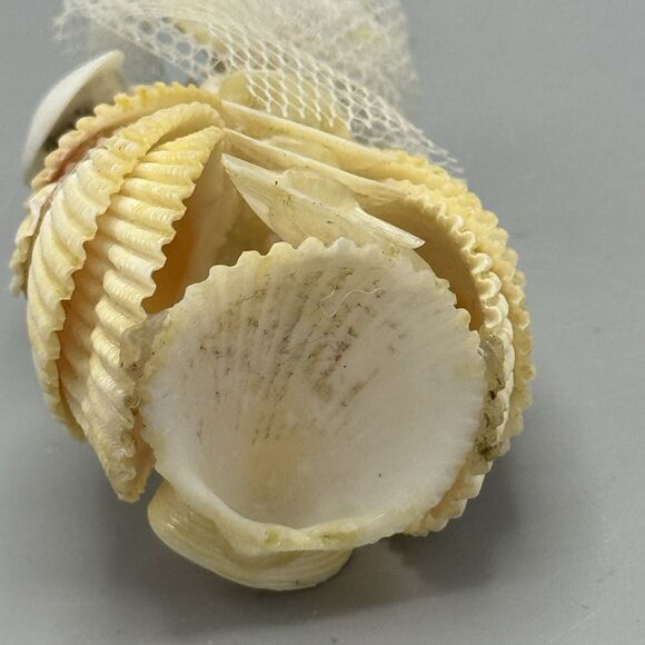 Handmade Seashell Art Figurine Bride Doll Folk Art Flower Girl Nautical Kitschy - Picture 10 of 10